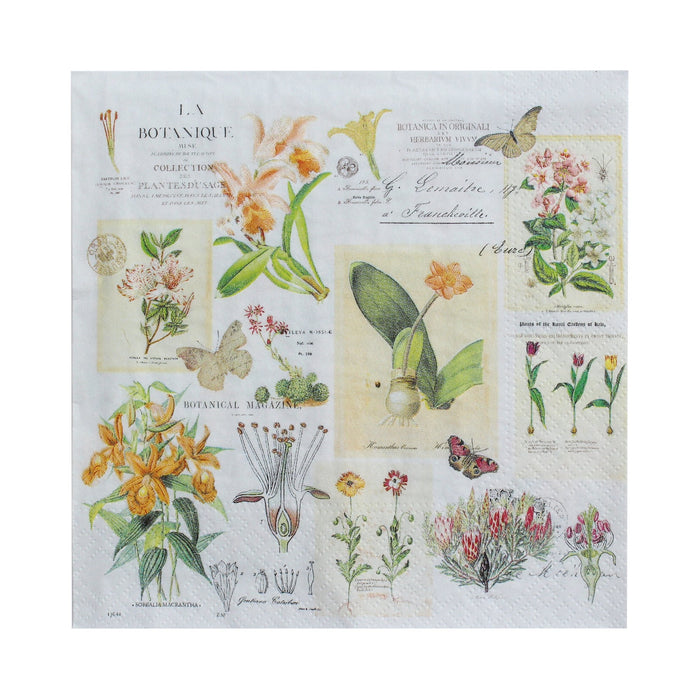 Decoupage Napkin 12"X12" Botanical Delight