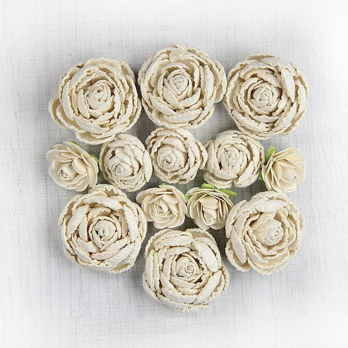 English Roses 13/Pkg Moon Light