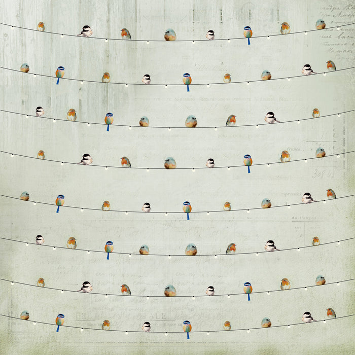 12" x 12" Printed Paper Pads from Little Birdie