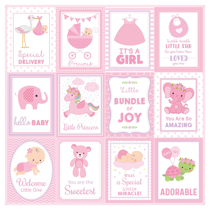 Little Miracle Cardstock Pack 12"X12" 12/Pkg-Baby Girl