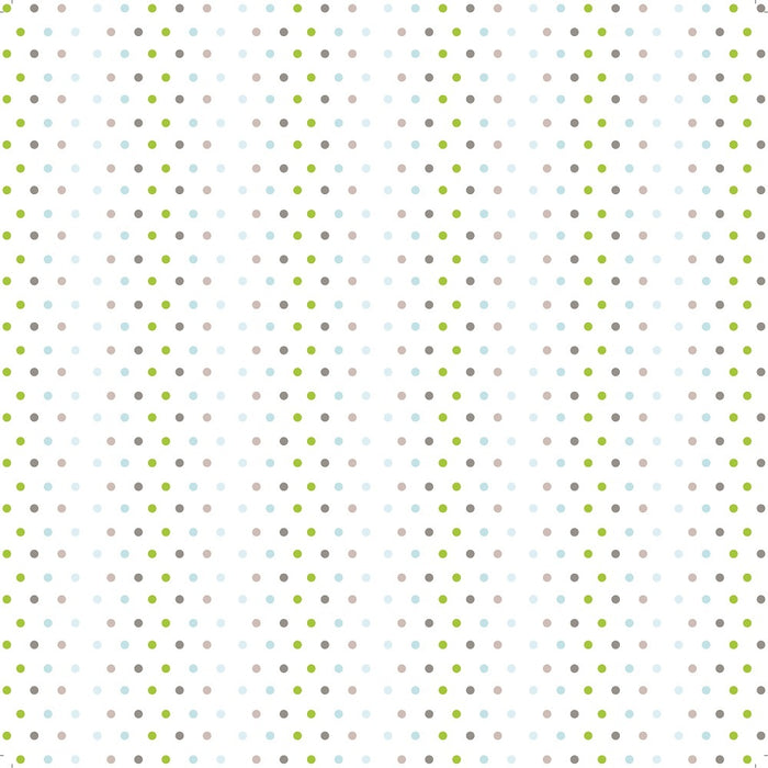 Little Birdie Pattern Paper 12"X12" 12/Pkg-Baby Boy