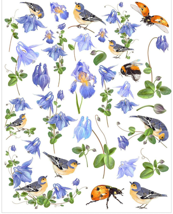 Little Birdie Deco Transfer Sheet A4-Bluebells And Birdie